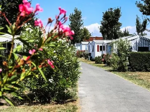 Camping Les Dinosaures 4 étoiles★★★★