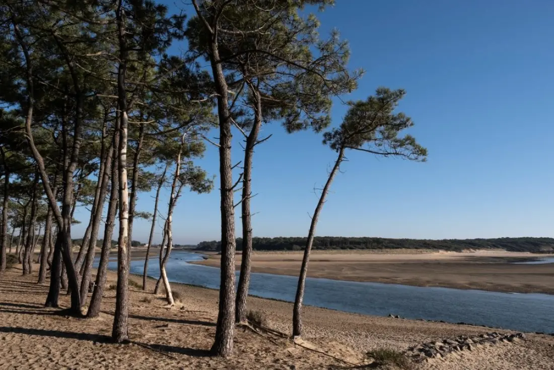Camping Les Flots de l'Océan 3 étoiles★★★