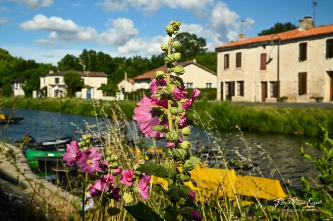 Camping Les Flots de l'Océan 3 étoiles★★★