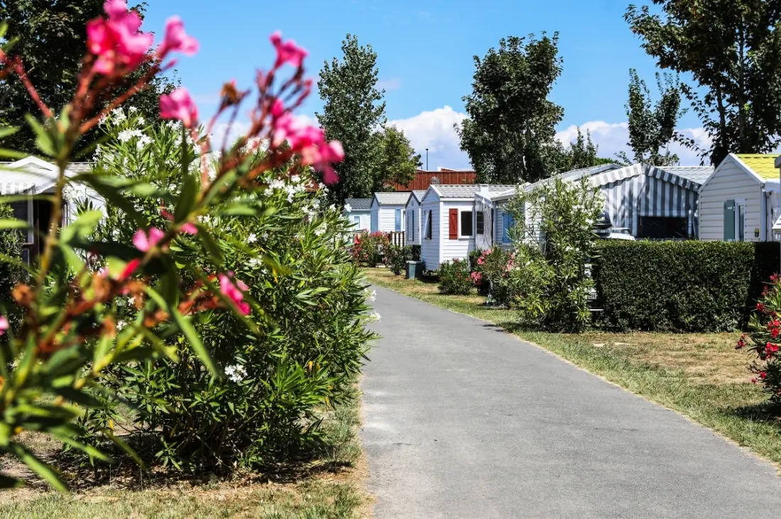 Camping maeva Club Les Dinosaures 4 étoiles★★★★
