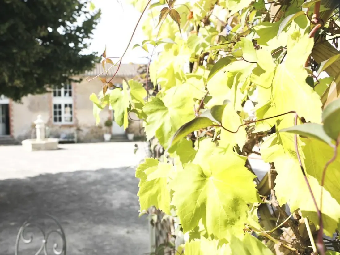 Maison de Vacances Talmont-Saint-Hilaire 99