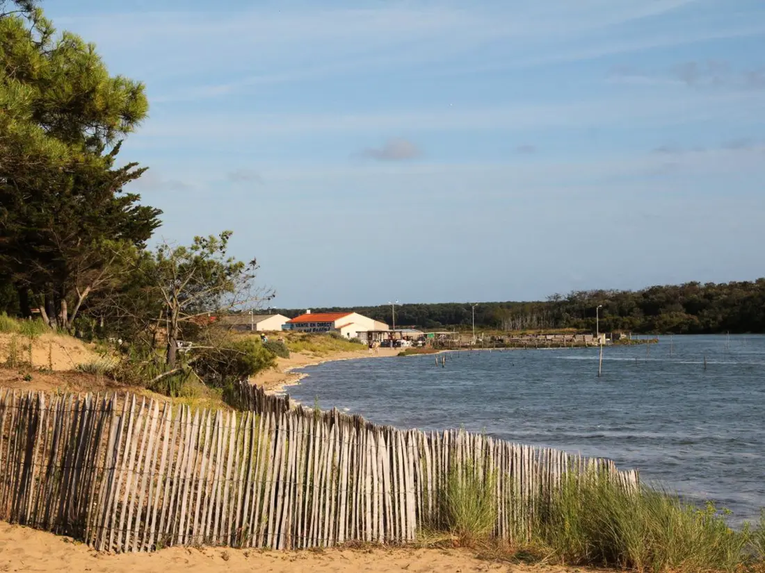 Maison de Vacances Talmont-Saint-Hilaire 99