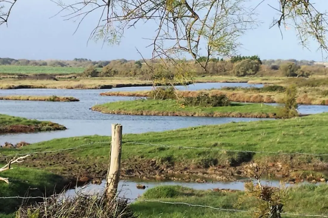 Maison Au Calme Dans Magnifique Environnement