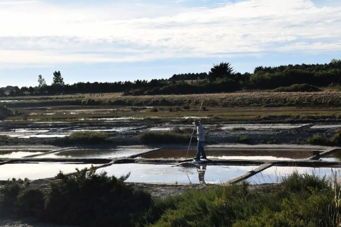 Maison Au Calme Dans Magnifique Environnement