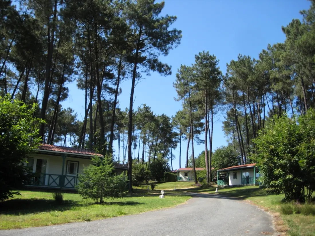 Camping Le Domaine des Grands Pins