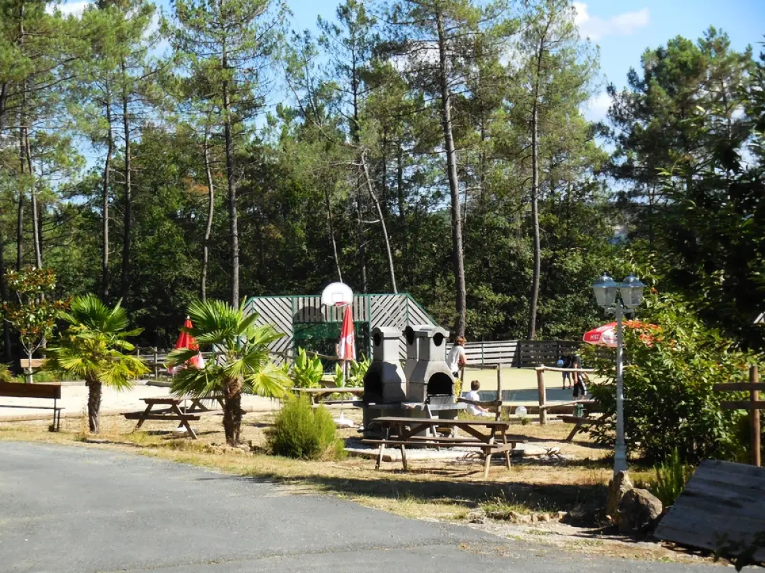 Camping Le Domaine des Grands Pins