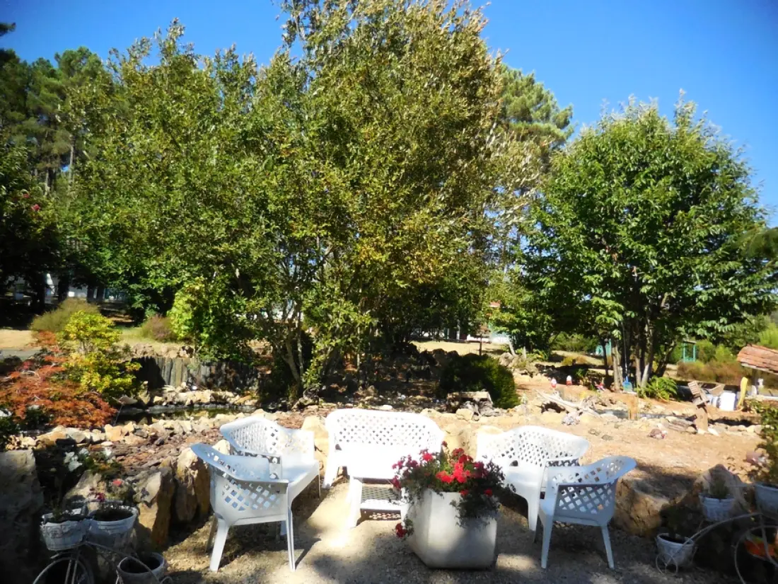 Camping Le Domaine des Grands Pins