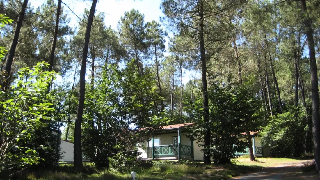 Camping Le Domaine des Grands Pins