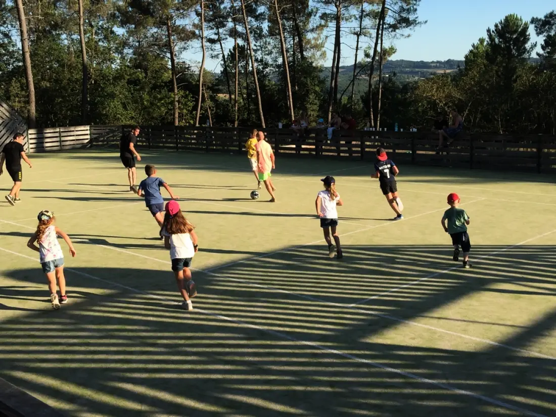 Camping Le Domaine des Grands Pins