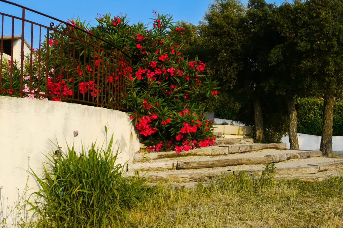 Villa De Campagne - 8 Pers - Vue Sur Les Mimosas