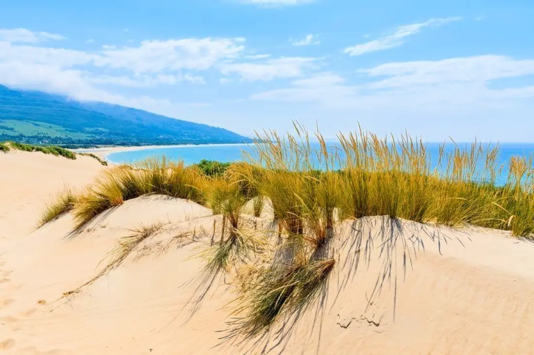 TAIGA Tarifa Punta Paloma