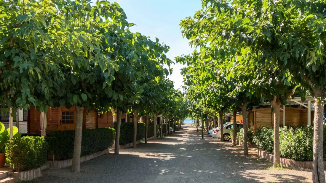 Camping Playa y Fiesta by Viajes Velero 2 étoiles★★