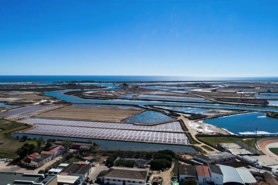 Tavira Flamingos Flat