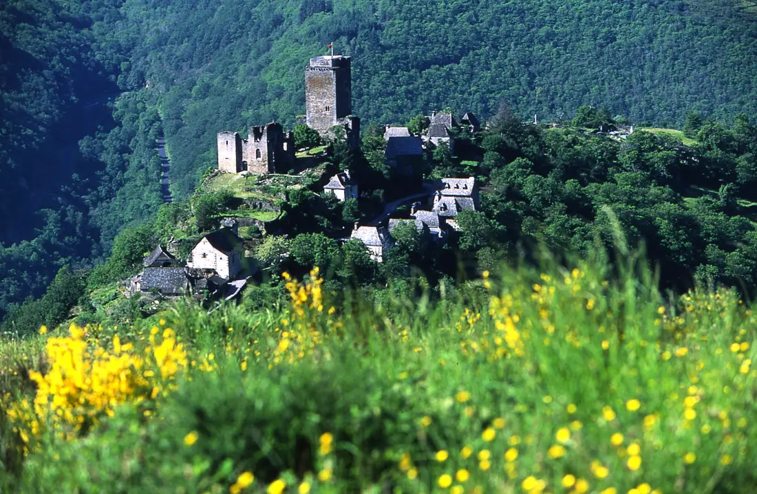 Camping Sunêlia La Source - Occitanie - Aveyron 4 étoiles★★★★