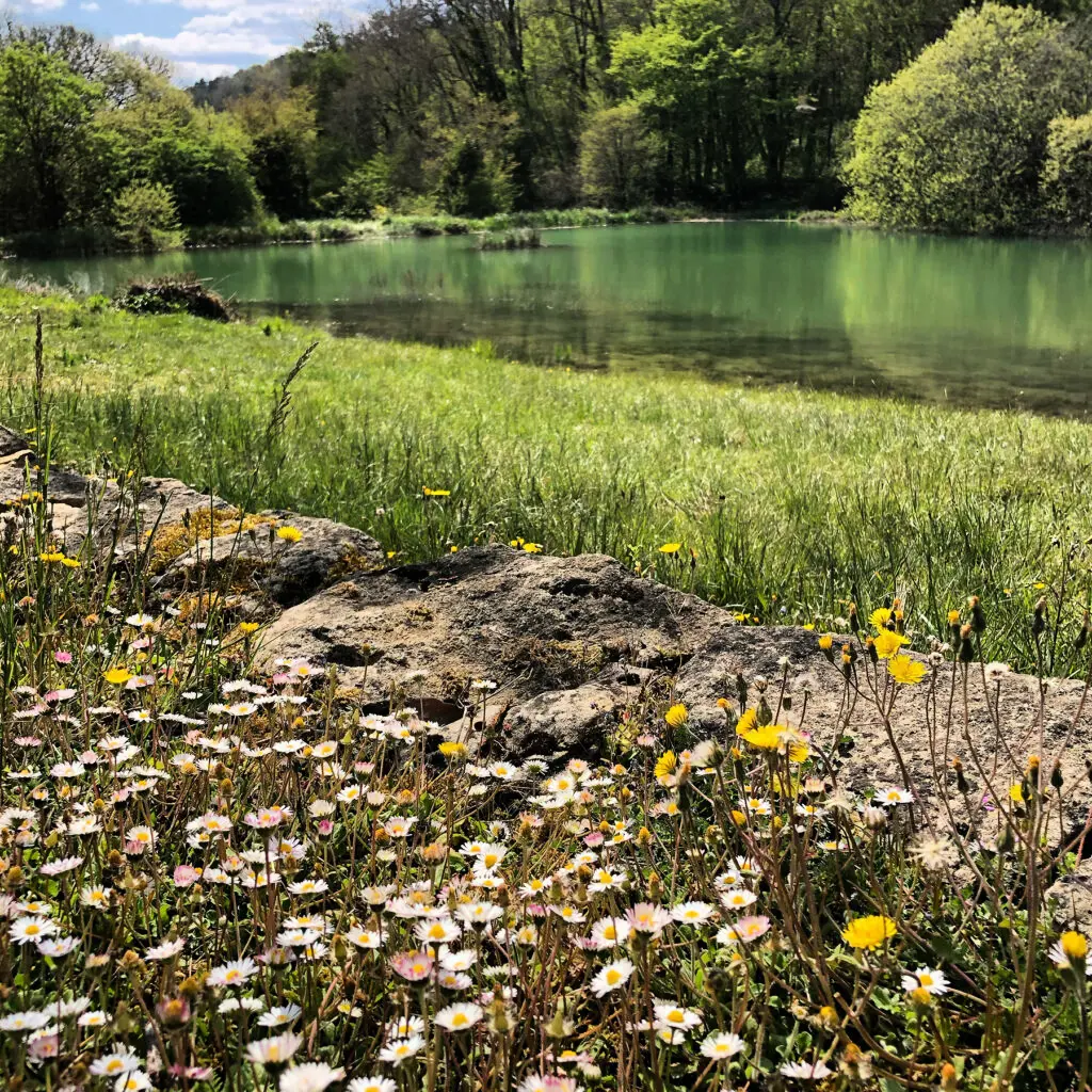 Camping maeva Escapades La Castillonderie 4 étoiles★★★★