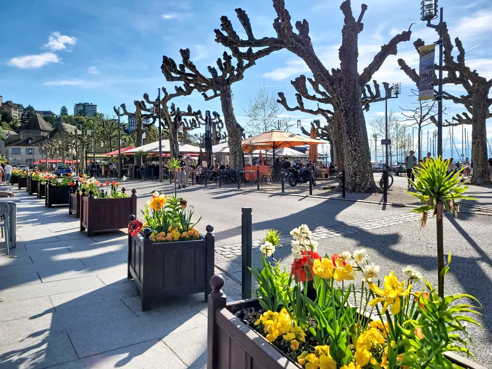 Appartements à Thonon-les-Bains