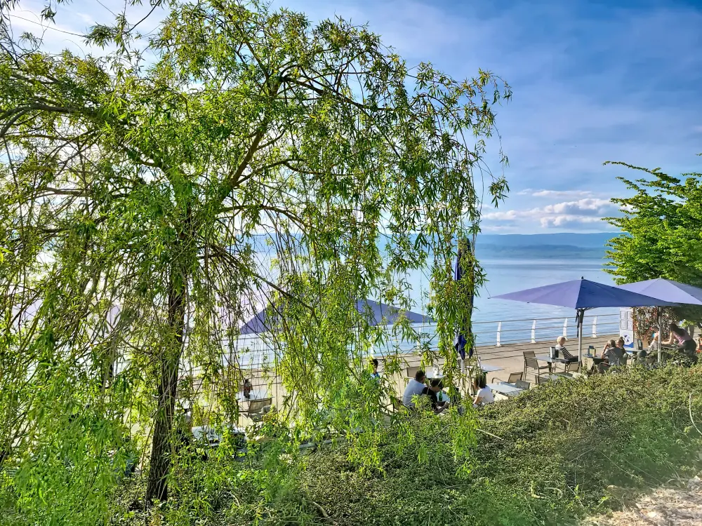 Appartements à Thonon-les-Bains