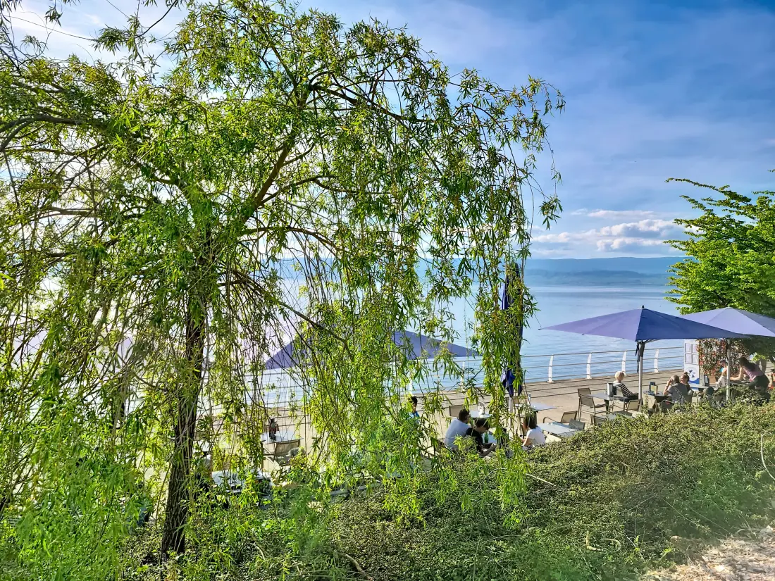 Appartements à Thonon-les-Bains