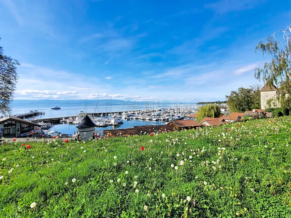 Appartements à Thonon-les-Bains