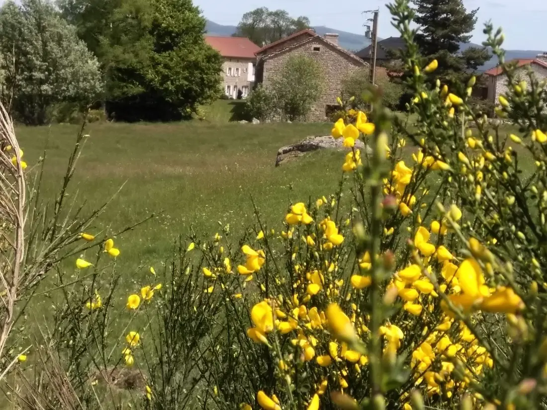 Maison de Vacances Thoras
