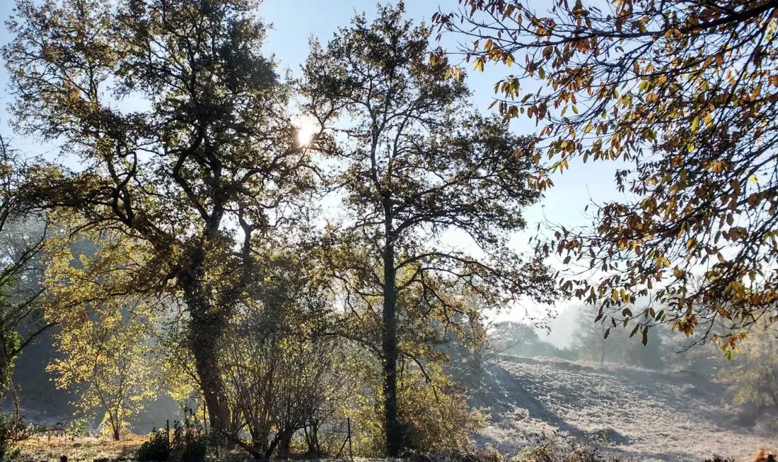Gîte de France Le clos des chênes 3 épis