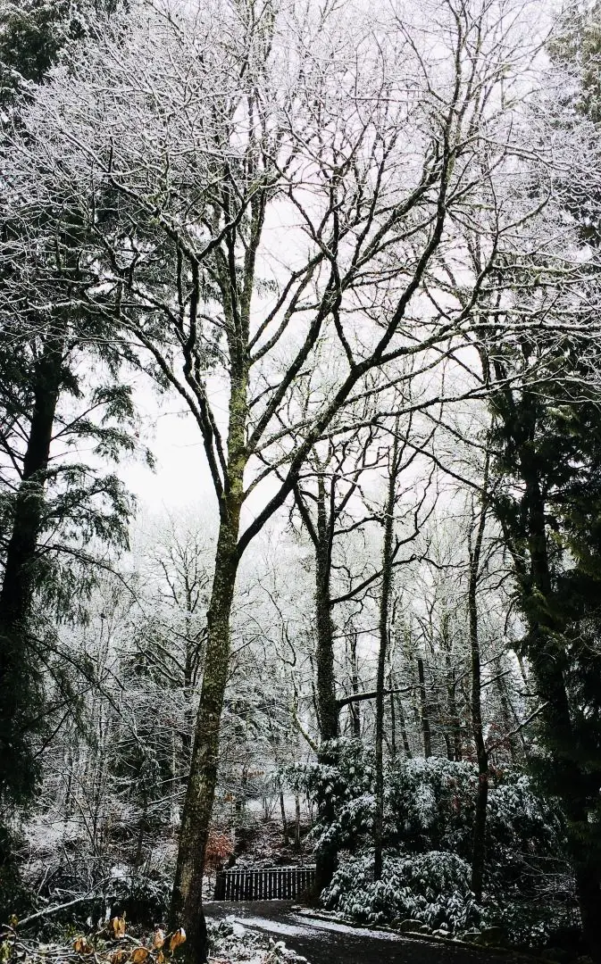 Gîte de France Le clos des chênes 3 épis