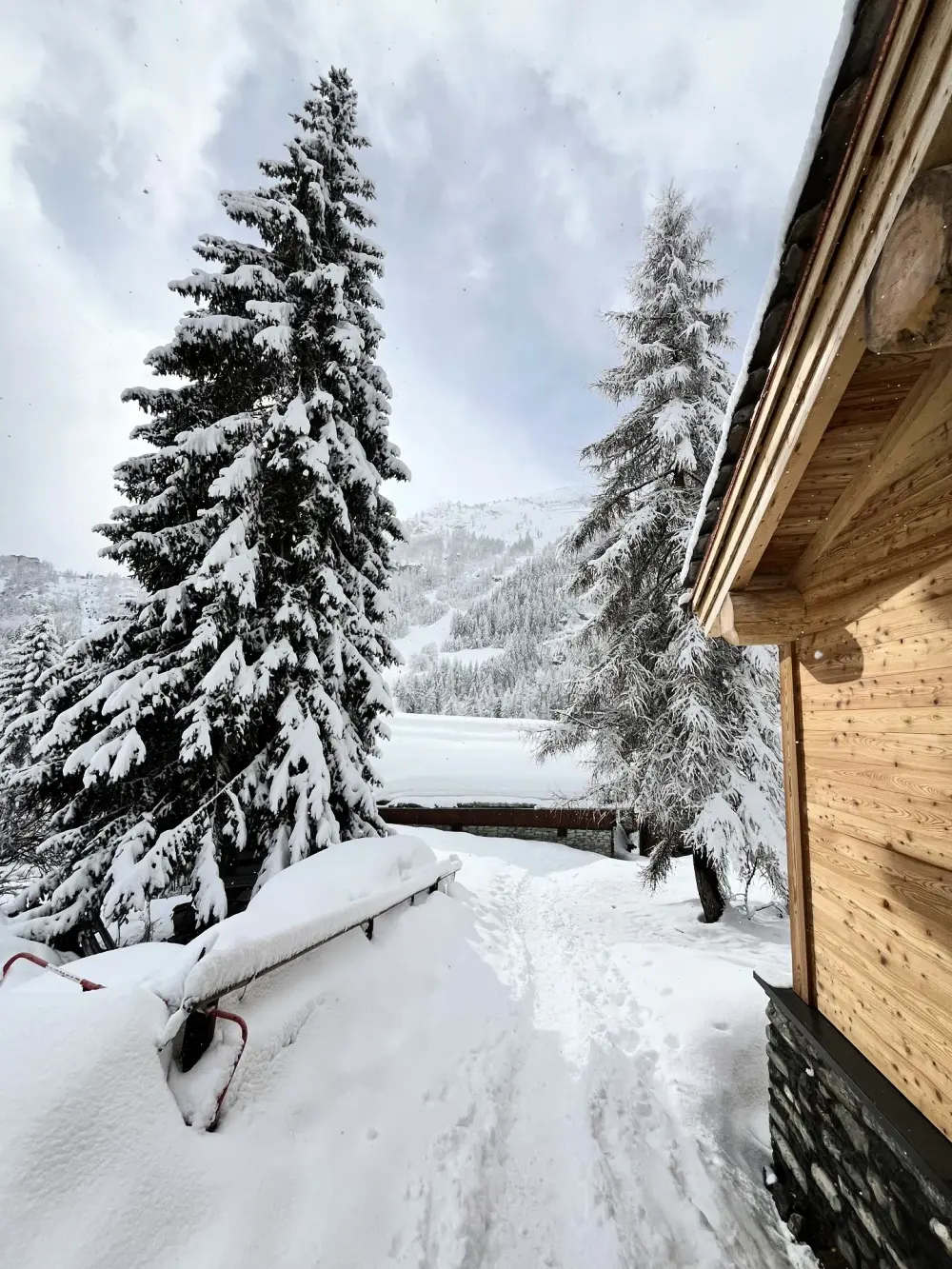 Chalet Lo Soli