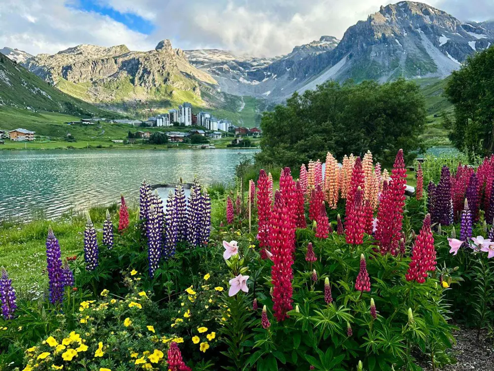 Location de Vacances Tignes - val claret 16