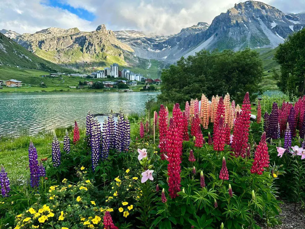 Location de Vacances Tignes - val claret 57