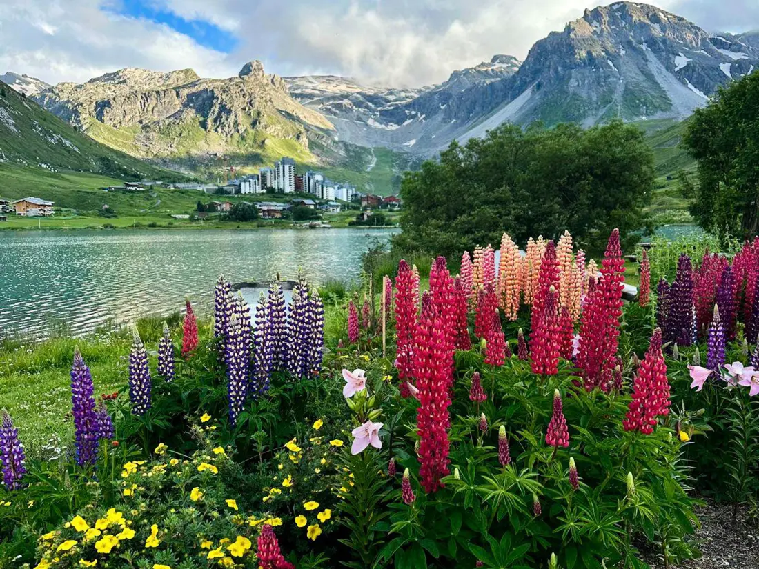 Location de Vacances Tignes - val claret 71