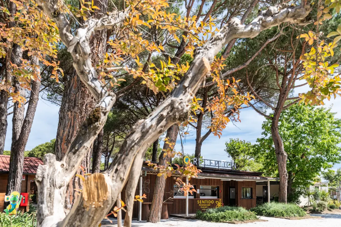 Club del Sole Viareggio Family Collection 3 étoiles★★★