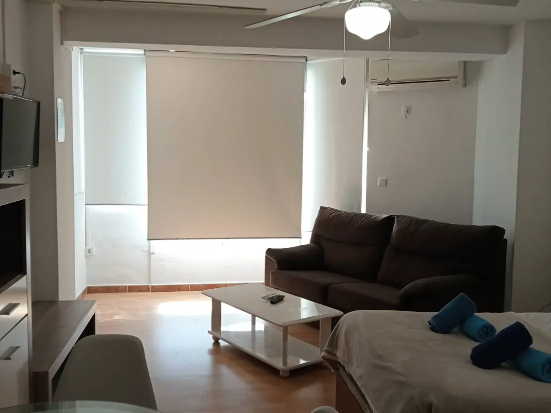 Location de Vacances Torre del Mar 101