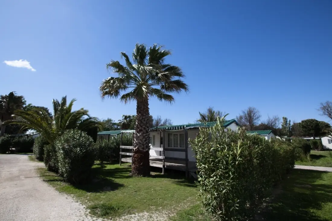 Camping Sandaya Les Tropiques 4 étoiles★★★★