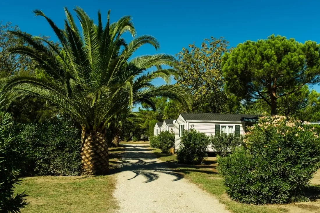 Camping Sandaya Les Tropiques 4 étoiles★★★★