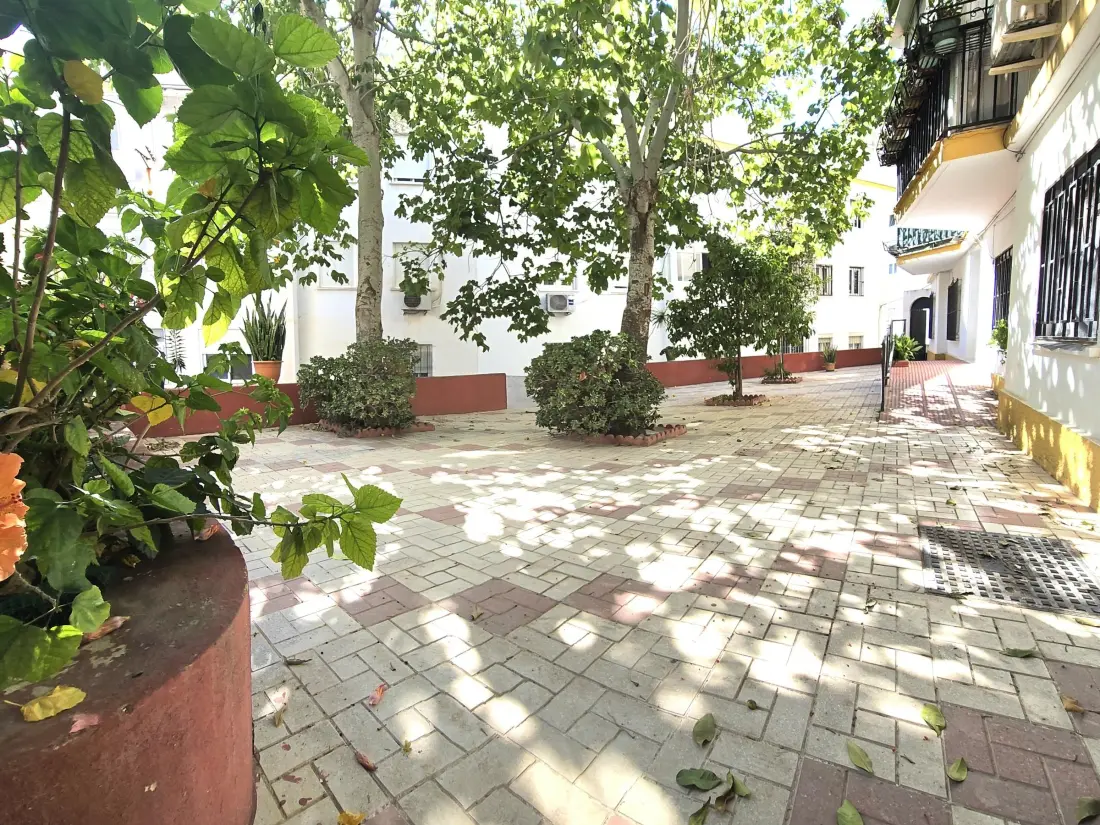 Location de Vacances Torremolinos 114