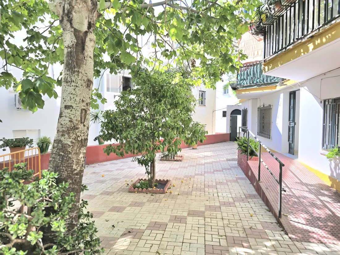 Location de Vacances Torremolinos 114