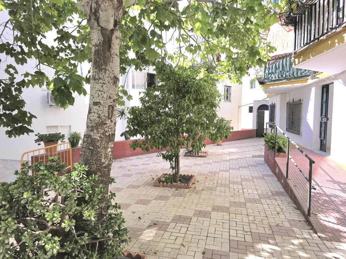 Location de Vacances Torremolinos 114