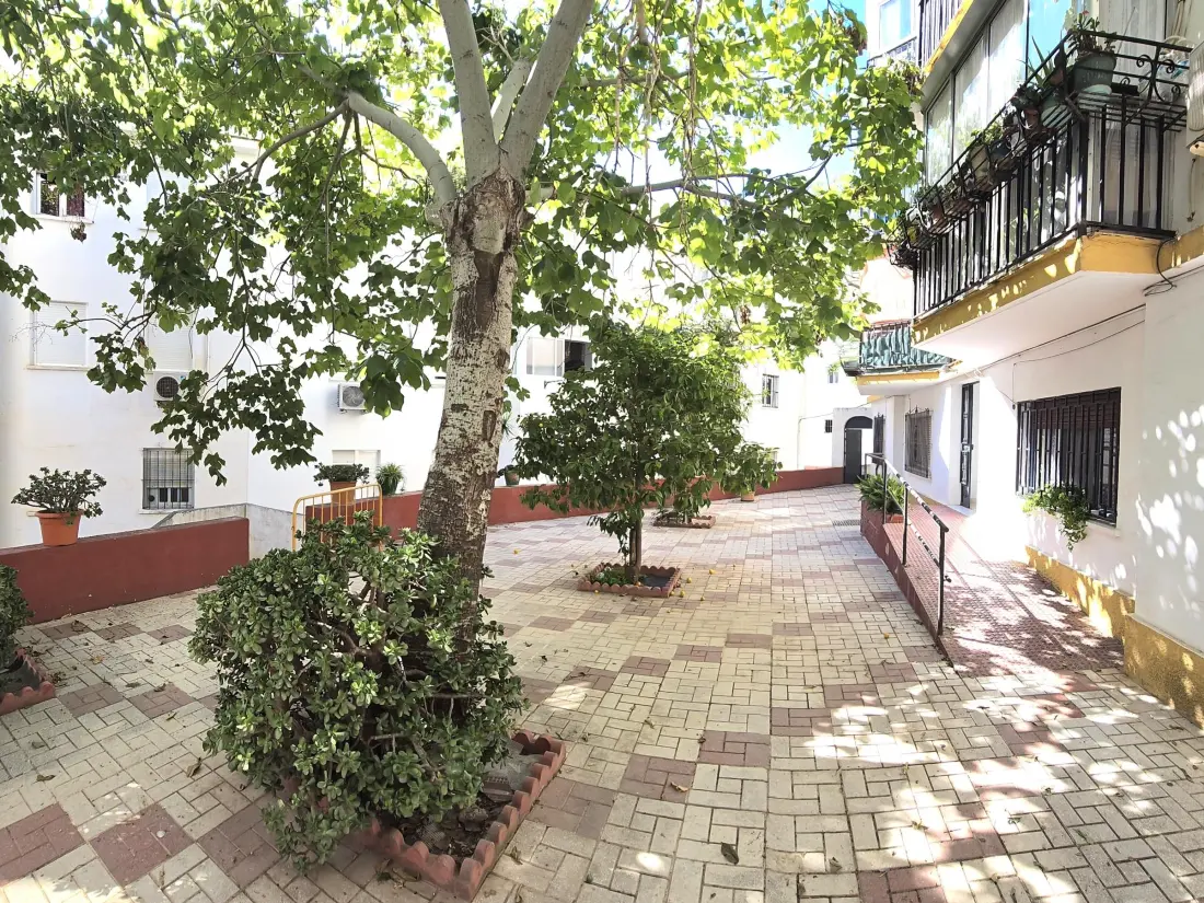 Location de Vacances Torremolinos 114
