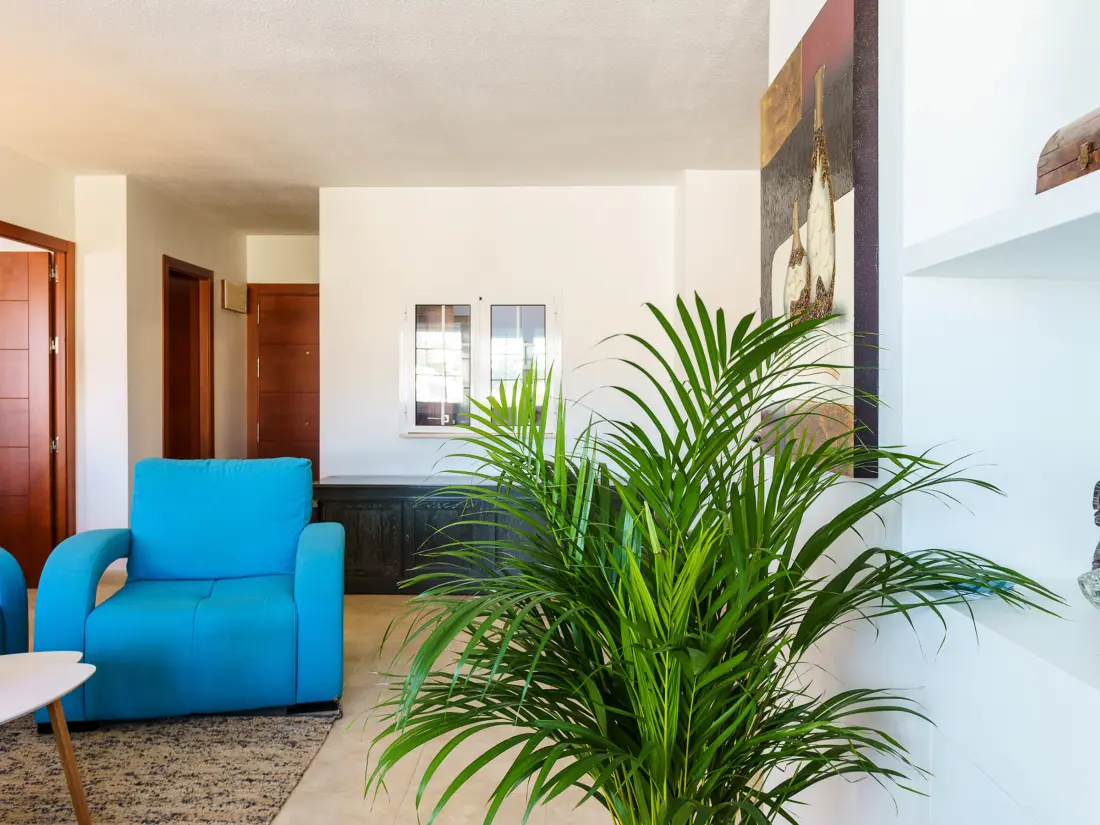 Location de Vacances Torremolinos 243