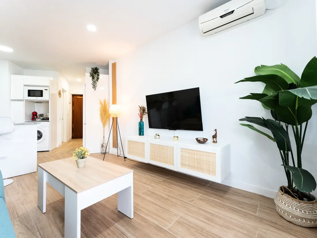 Location de Vacances Torremolinos 250