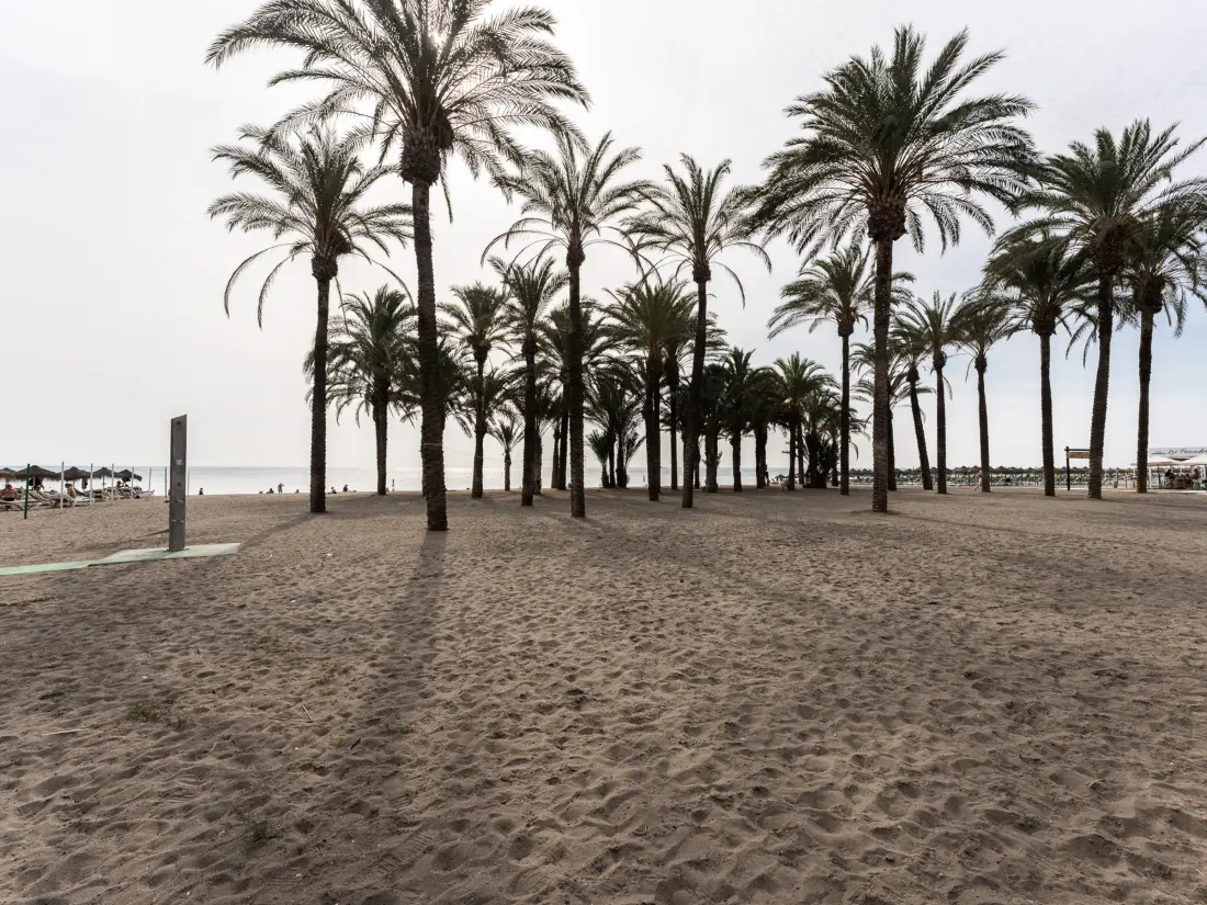 Location de Vacances Torremolinos 252