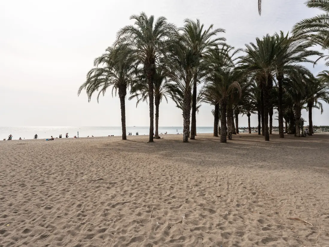 Location de Vacances Torremolinos 252