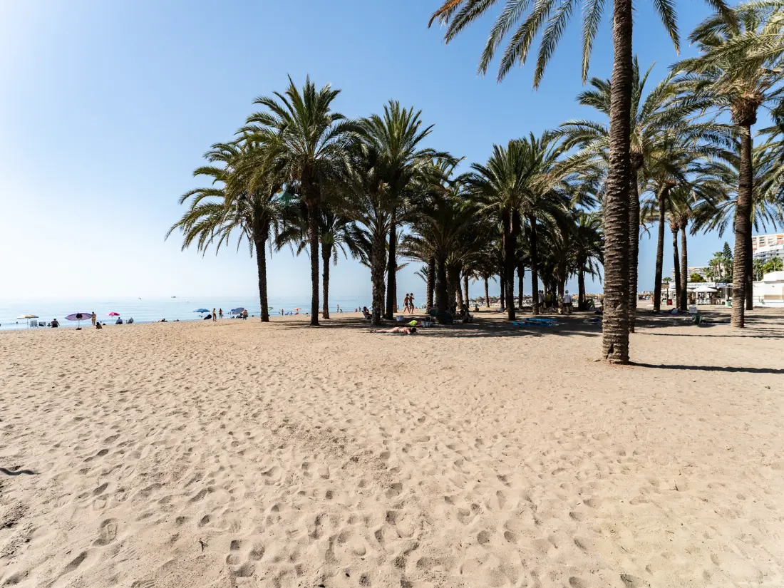 Location de Vacances Torremolinos 259