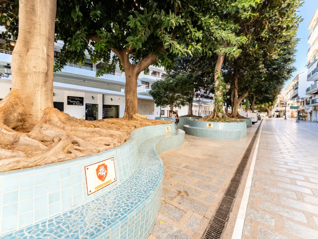 Location de Vacances Torremolinos 269