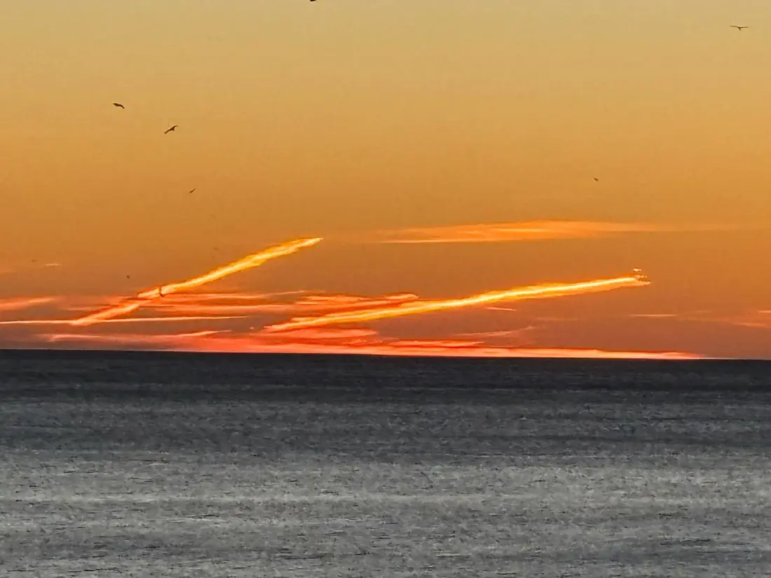 Location de Vacances Torremolinos 314