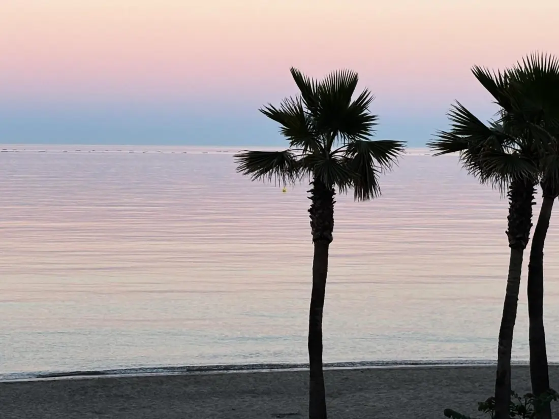 Location de Vacances Torremolinos 314