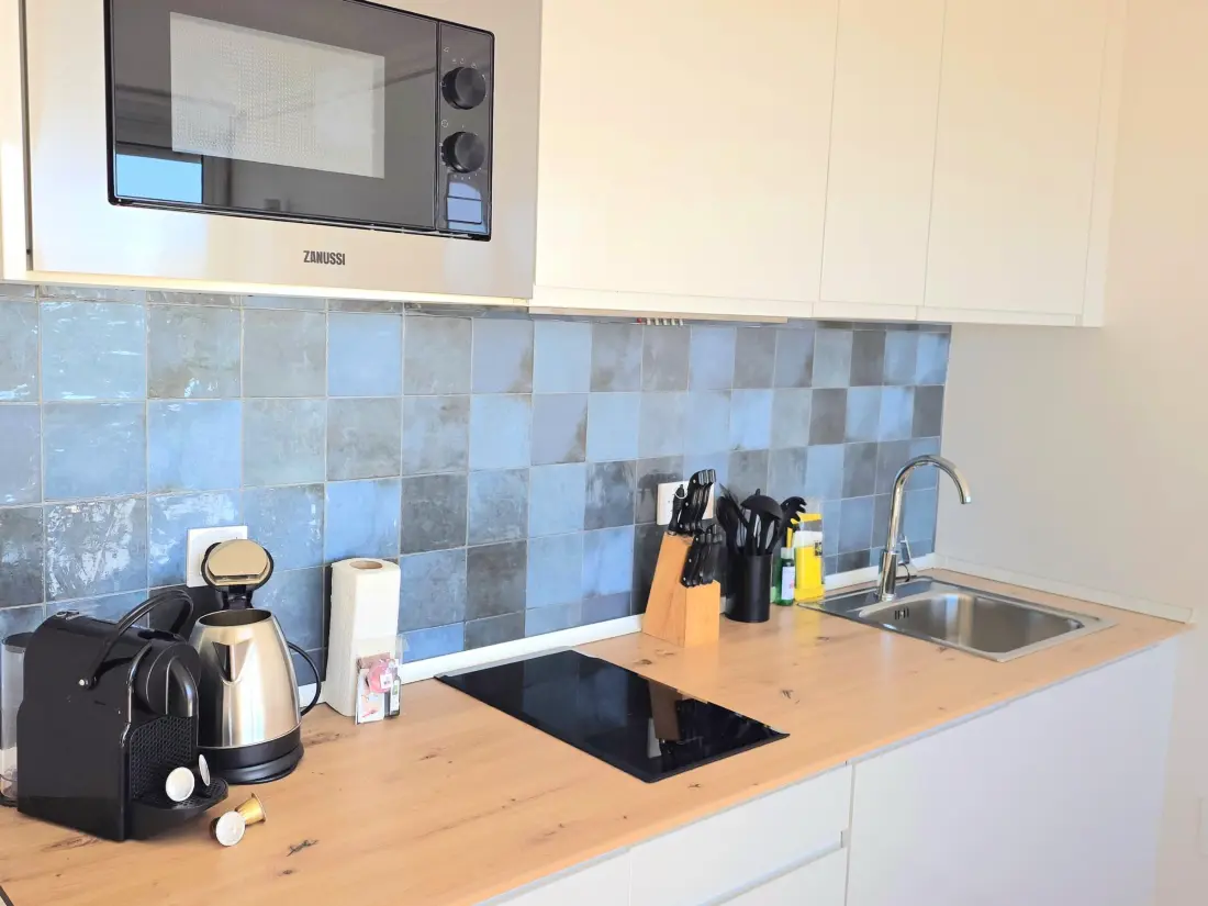Location de Vacances Torremolinos 316