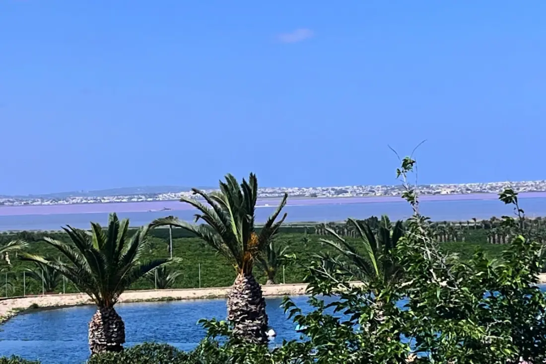 La Calienta  : Vue Lagune Rose Et Piscine
