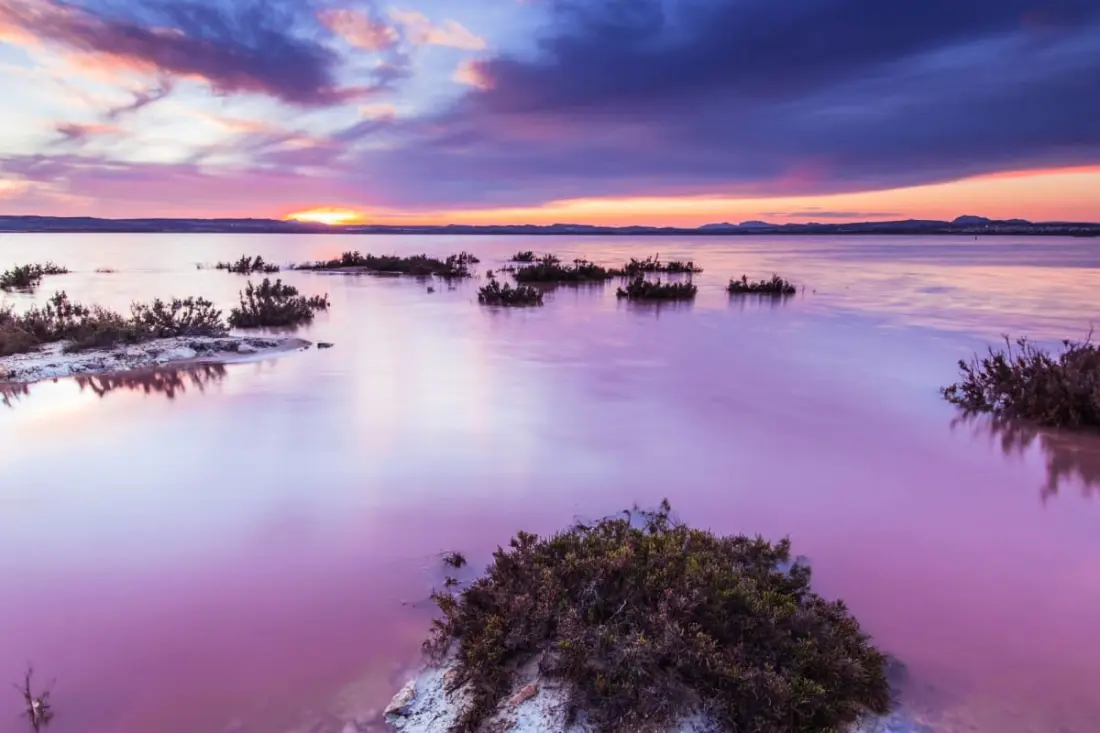 La Calienta  : Vue Lagune Rose Et Piscine