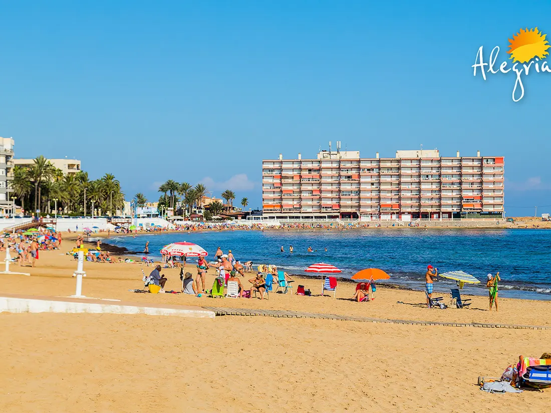 Location de Vacances Torrevieja 104